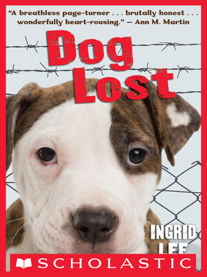 cover image of Dog Lost
